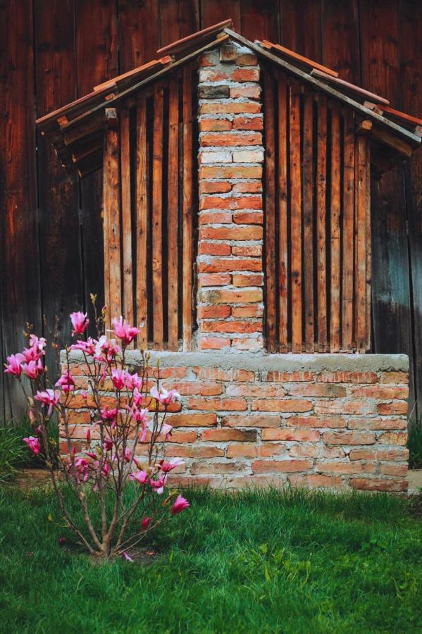 Hostal Casa Pe Valea Hartibaciului Barcut Exterior foto