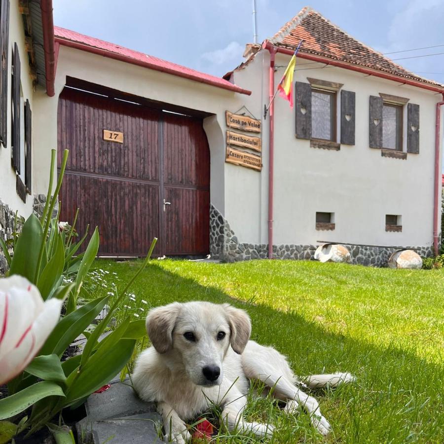 Hostal Casa Pe Valea Hartibaciului Barcut Exterior foto